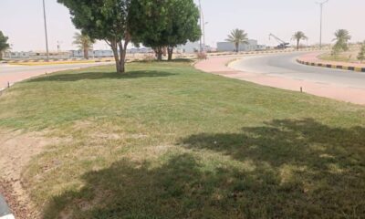 تطوير المساحات الخضراء في القليب: مبادرة لتجميل المدينة