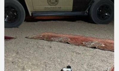 ضبط مخالف لنظام البيئة في حائل: التفاصيل والأسباب