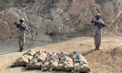 إحباط تهريب 380 كجم من القات بجازان بواسطة حرس الحدود