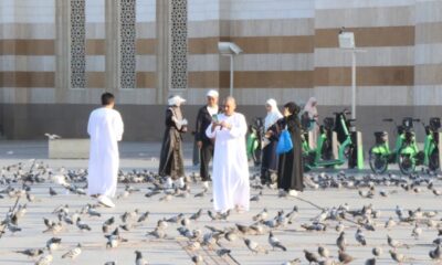 اكتشف جاذبية الروثانة: وجهة سياحية في المدينة المنورة