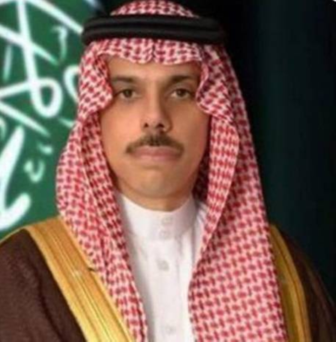 وزير الخارجية يشارك في مؤتمر حل الدولتين بنيويورك