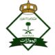 الجوازات تصدر 17,651 قراراً لمخالفي الإقامة والعمل والحدود
