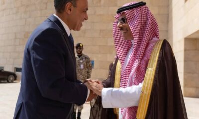 وزير خارجية مصر: حل الدولتين مفتاح أمن إسرائيل