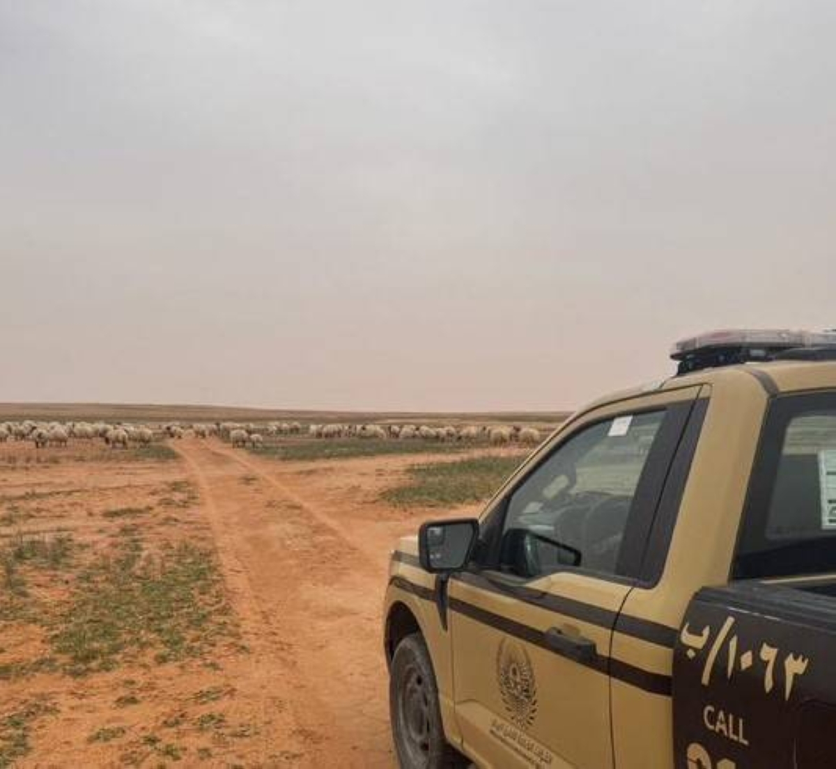 ضبط مخالف لنظام البيئة في محمية الملك عبدالعزيز