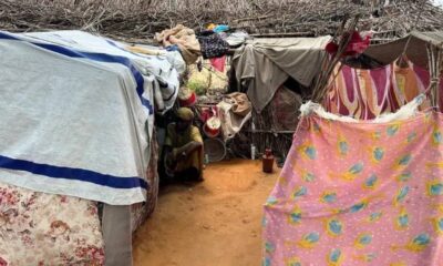 الفاشر تواجه المجاعة: خطر يهدد حياة آلاف السودانيين