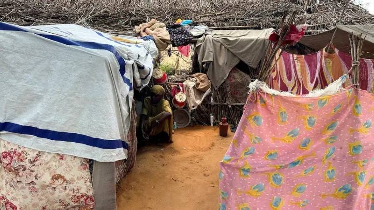 الفاشر تواجه المجاعة: خطر يهدد حياة آلاف السودانيين