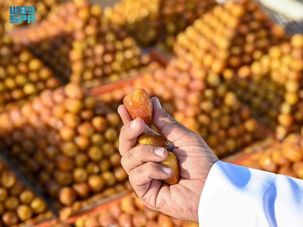 كرنفال التمور: دبلوماسية فريدة بحضور السفراء