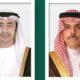 مباحثات بين وزيري خارجية السعودية والإمارات حول التطورات الدولية