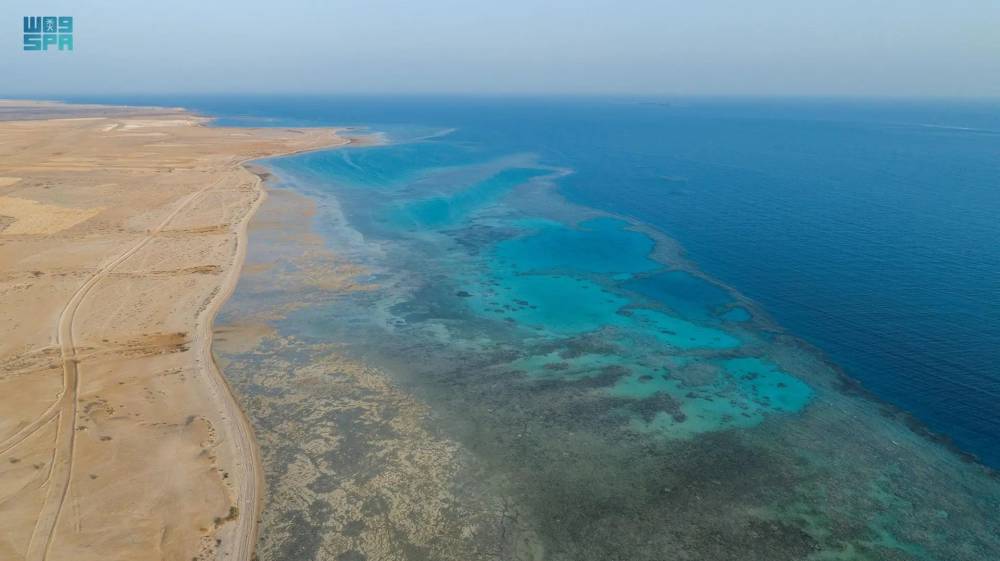 ضبط صيادين مخالفين في الوجه: تفاصيل وأسباب المخالفة