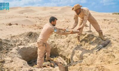 مشروع مسام يزيل 828 لغماً من الأراضي اليمنية بأمان