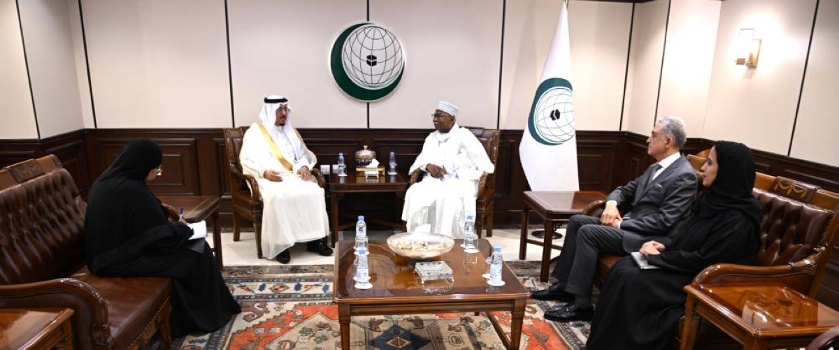 لقاء أمين التعاون الإسلامي والمدير التنفيذي لحقوق الإنسان
