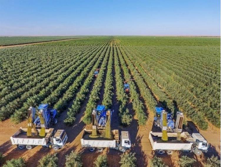 تحذير للمزارعين والنحالين في الجوف: تجنبوا هذه المواقع