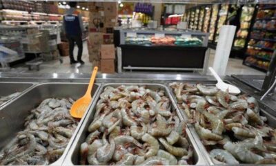 فضيحة الجمبري المشع تهز الأسواق الأمريكية