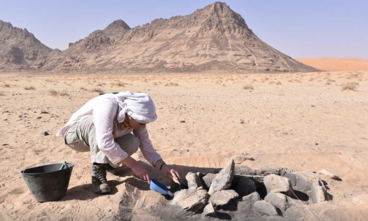 إضافة 2748 موقع جديد للسجل الوطني: تفاصيل وأرقام