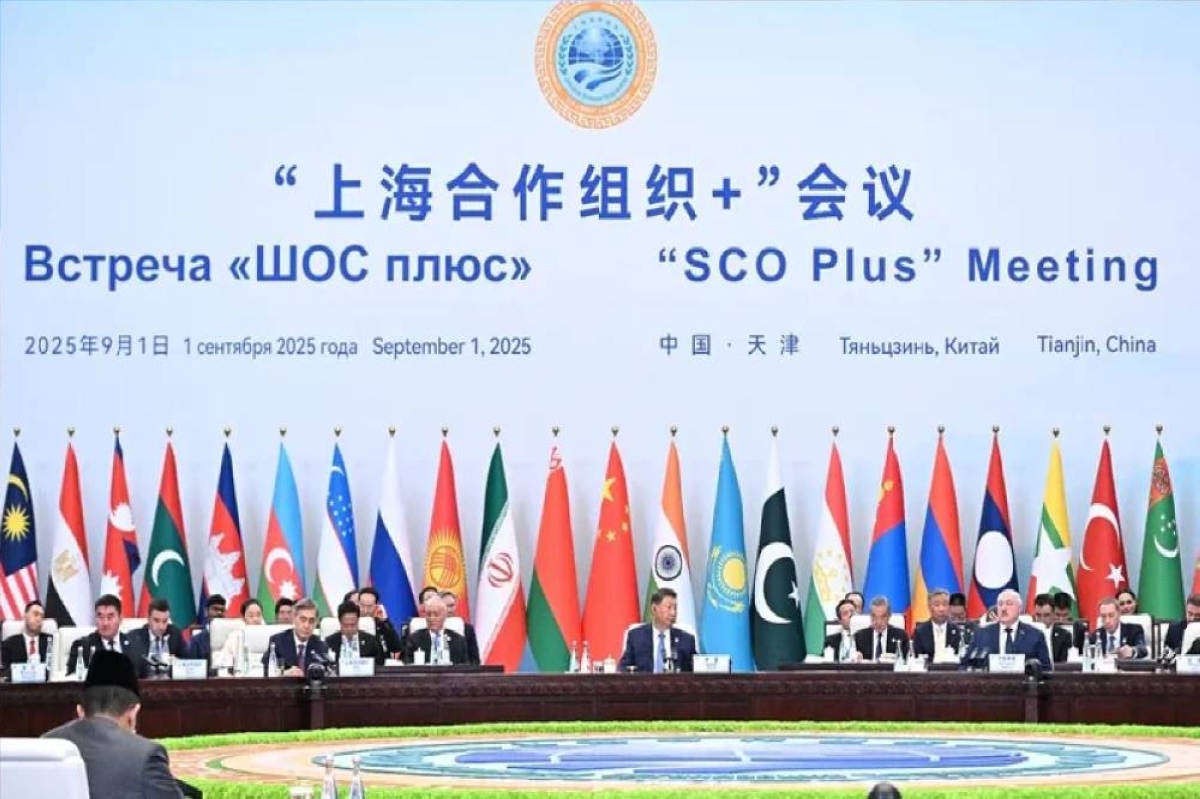 شنغهاي تدين جرائم إسرائيل في غزة وتدعو للتحقيق