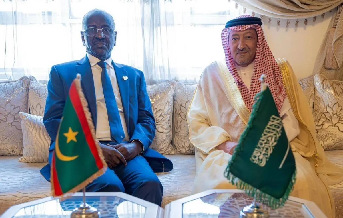 نائب وزير الخارجية يناقش التطورات الإقليمية مع موريتانيا