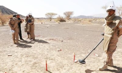 "مسام ينقذ اليمنيين من الألغام ويعيد الأمل"