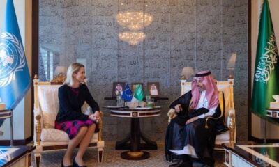 لقاء وزير الخارجية والممثلة العليا للاتحاد الأوروبي