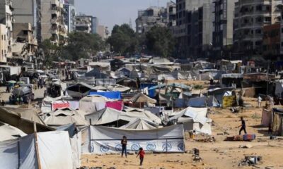 مقتل 52 فلسطينياً ونزوح 800 ألف من غزة