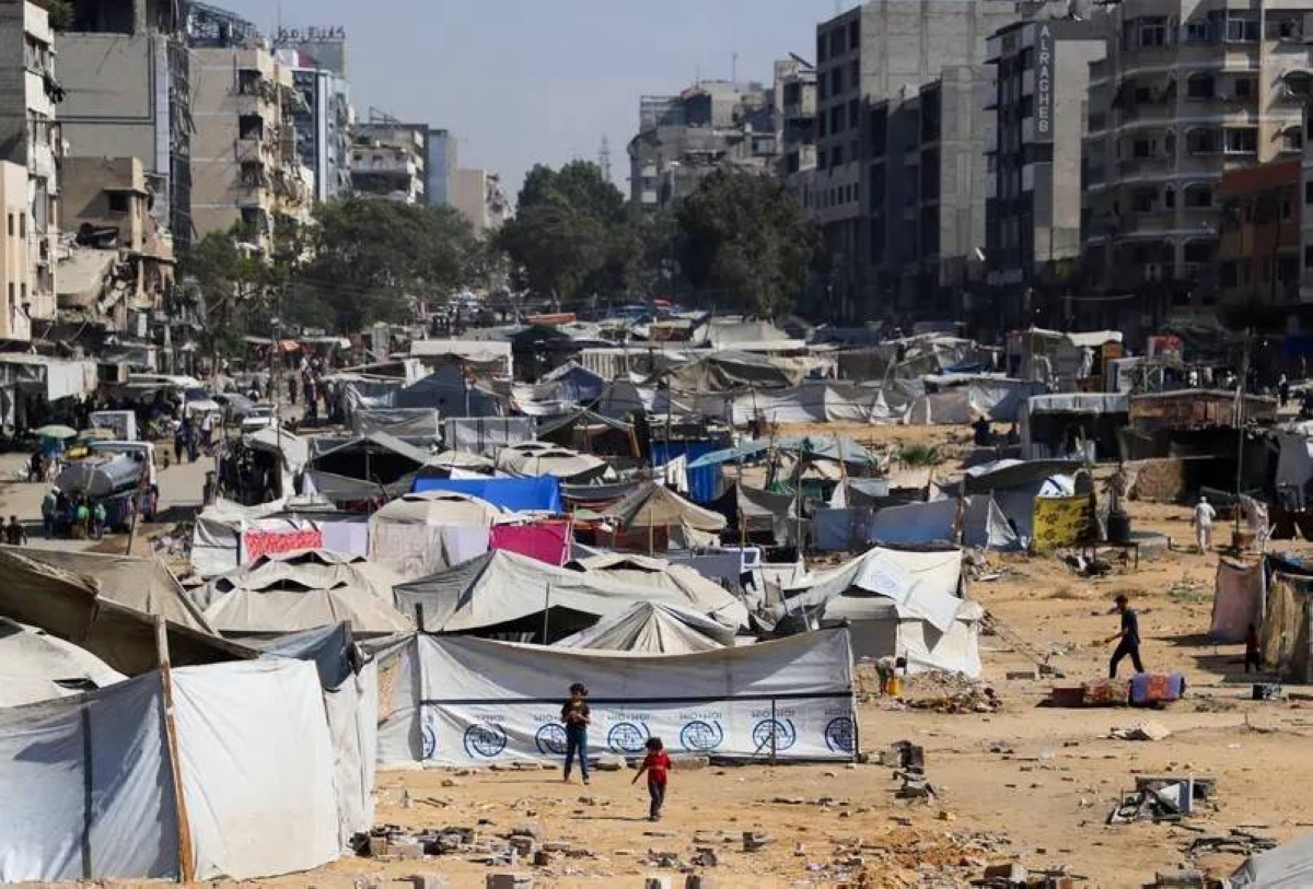 مقتل 52 فلسطينياً ونزوح 800 ألف من غزة