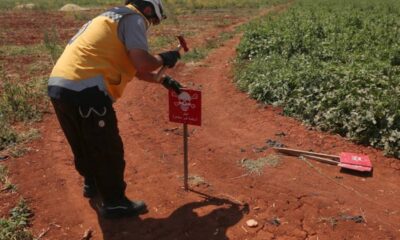 الألغام تهدد السوريين: الشيباني يؤكد عدم تشكيل خطر