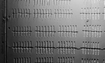 تيشينغ هسيه: تجربة العيش في قفص لمدة عام كامل