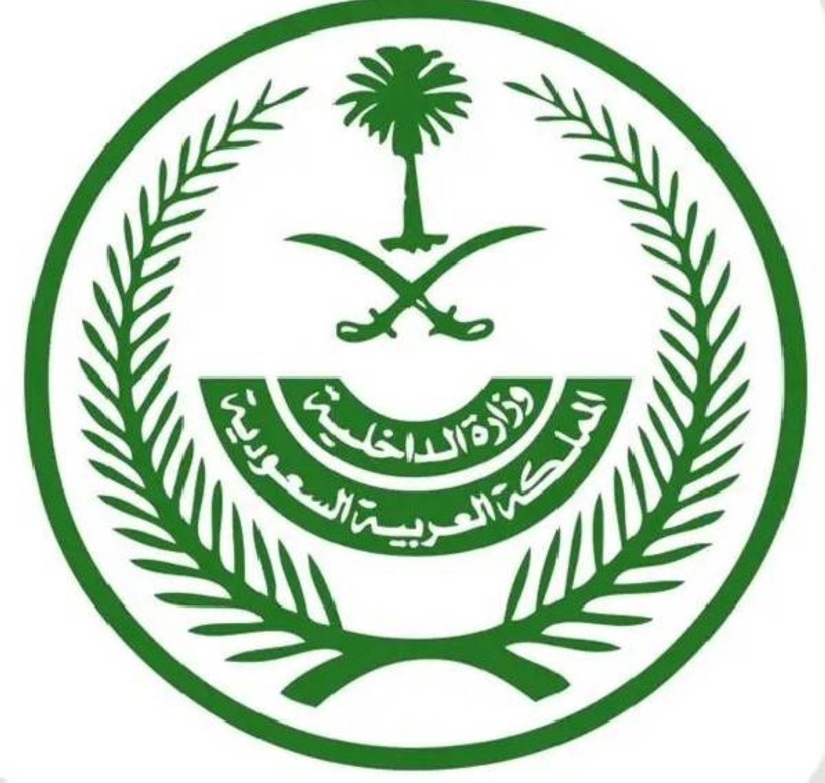 تنفيذ حكم القتل لمهرب الإمفيتامين في السعودية