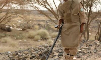 مشروع مسام السعودي يزيل 1319 لغماً في أسبوع واحد