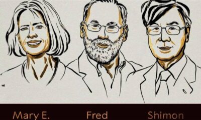 العالم يحتفل بالعلم والعرب غائبون عن الساحة العلمية