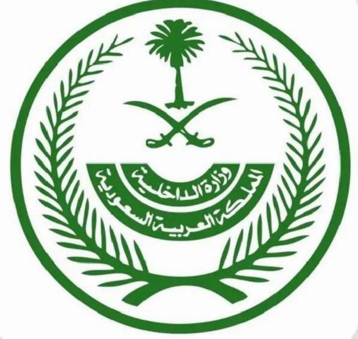 إعدام مهرب الإمفيتامين في السعودية: تفاصيل القضية