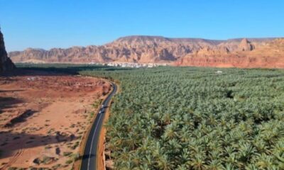 تسويق مزرعتك كوجهة سياحية: مبادرة كلية العلا التطبيقية