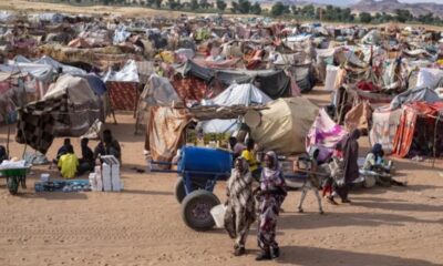 مجاعة تهدد الفاشر وكادوغلي: تقرير أممي جديد