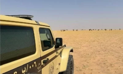 ضبط مخالف لنظام البيئة في محمية الملك عبدالعزيز