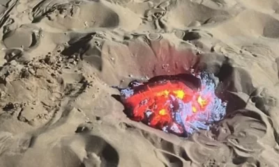 ضبط مخالفة إشعال نار غير قانونية: الأمن البيئي يتدخل