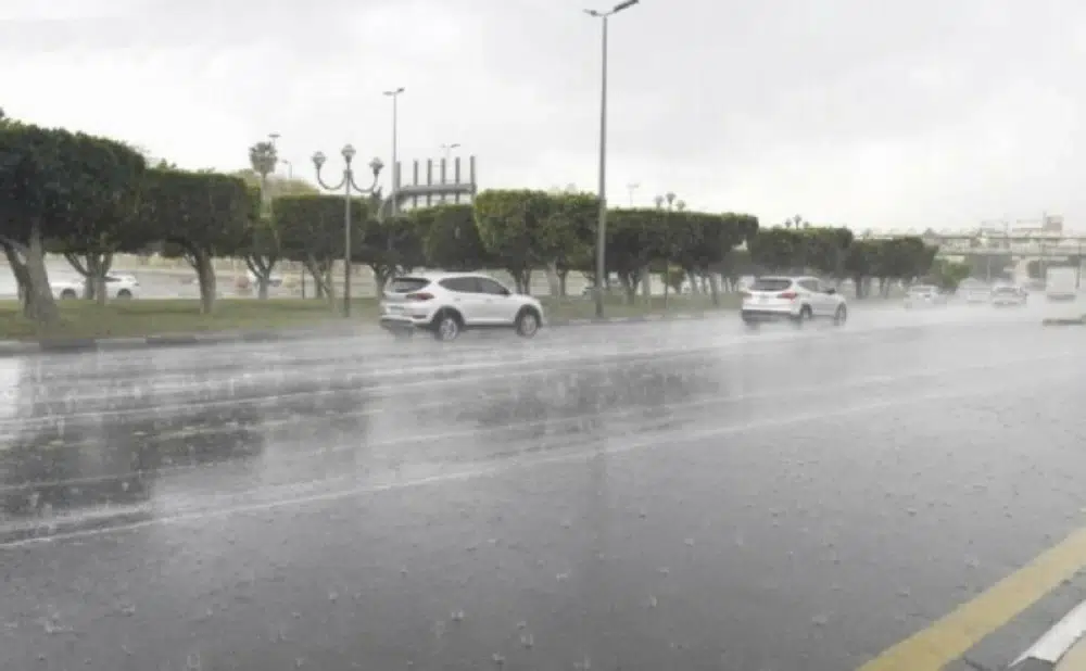 تعليق الدراسة غداً في الشرقية والقصيم والباحة وتحويلها عن بعد