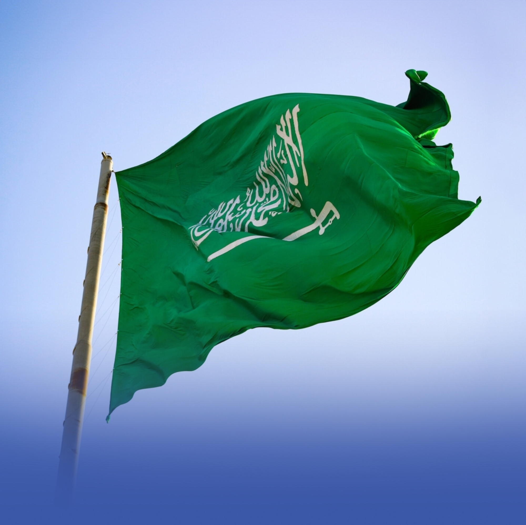 السعودية تدين هجوم تدمر الإرهابي وتدعم مكافحة الإرهاب