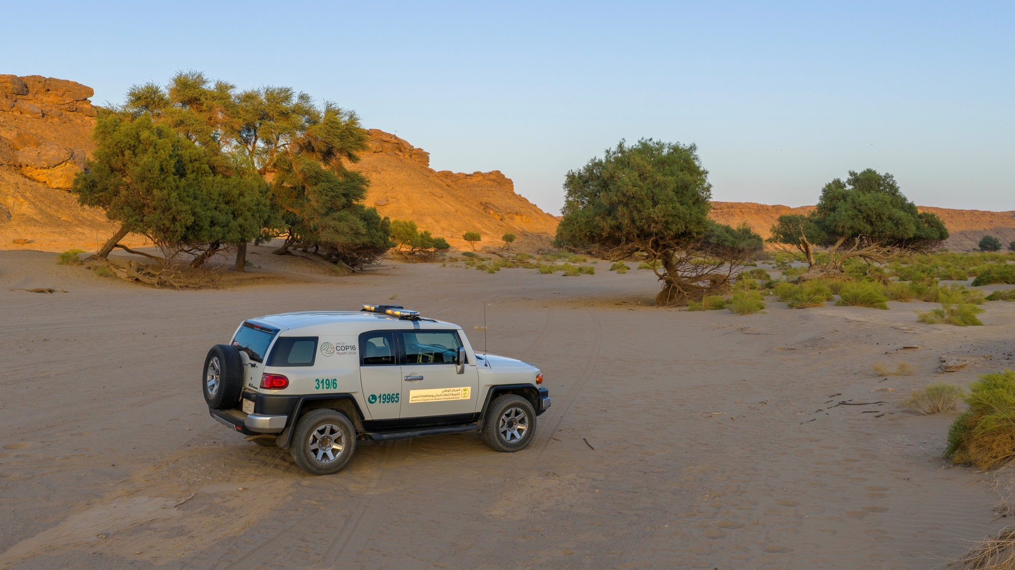 غرامة 2000 ريال: السعودية تحمي مناطقها البرية من العبور العشوائي