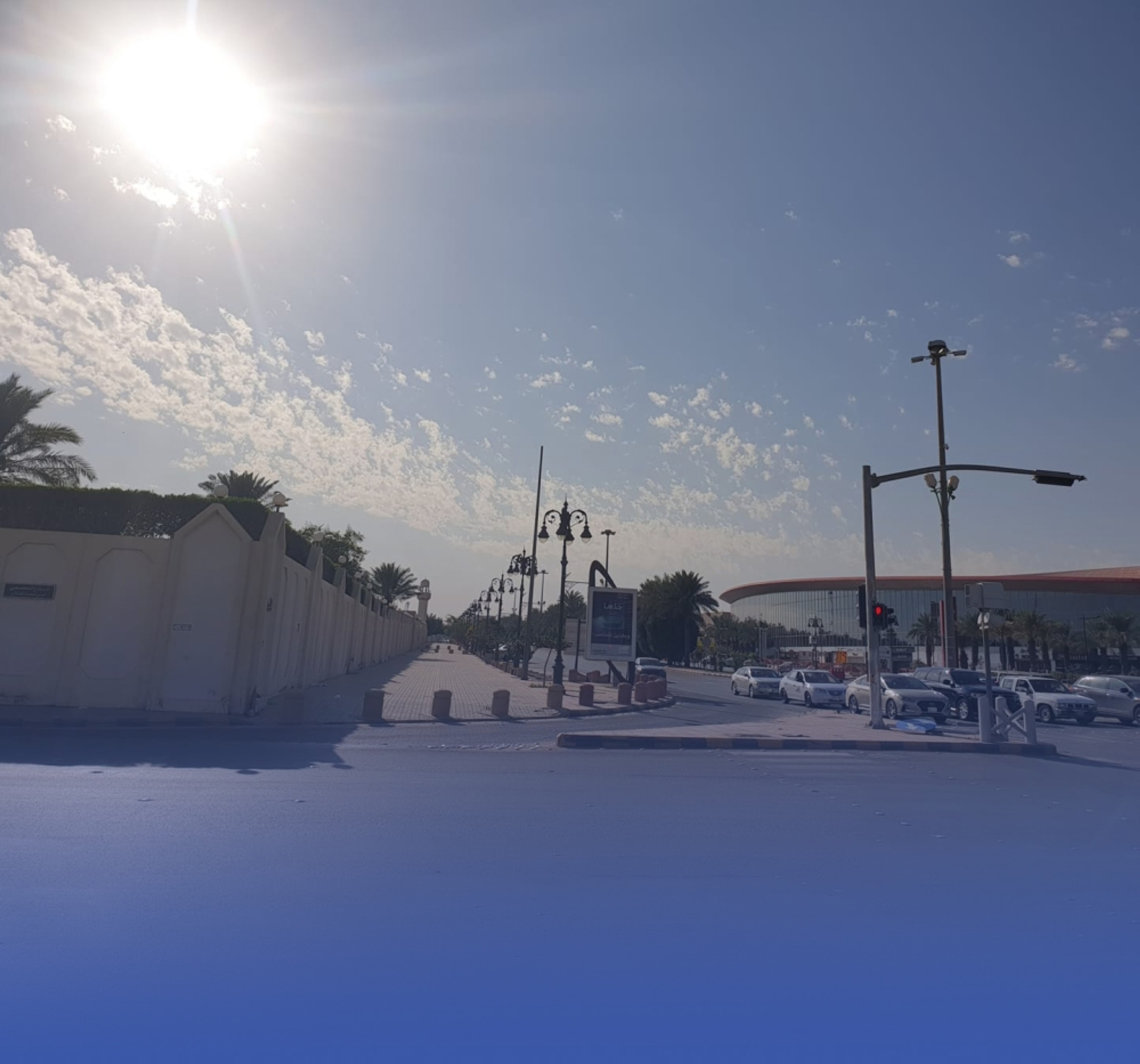 2023 is one of the hottest years on record: Weather report and the impacts of climate change