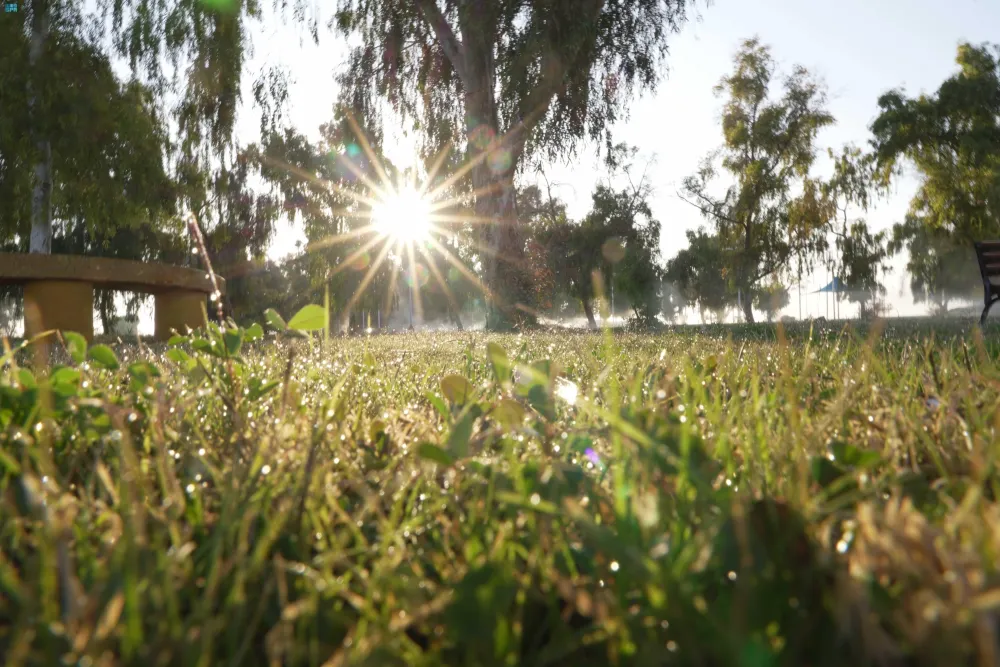 طقس السعودية: انخفاض حاد في الحرارة وتحذيرات من الصقيع