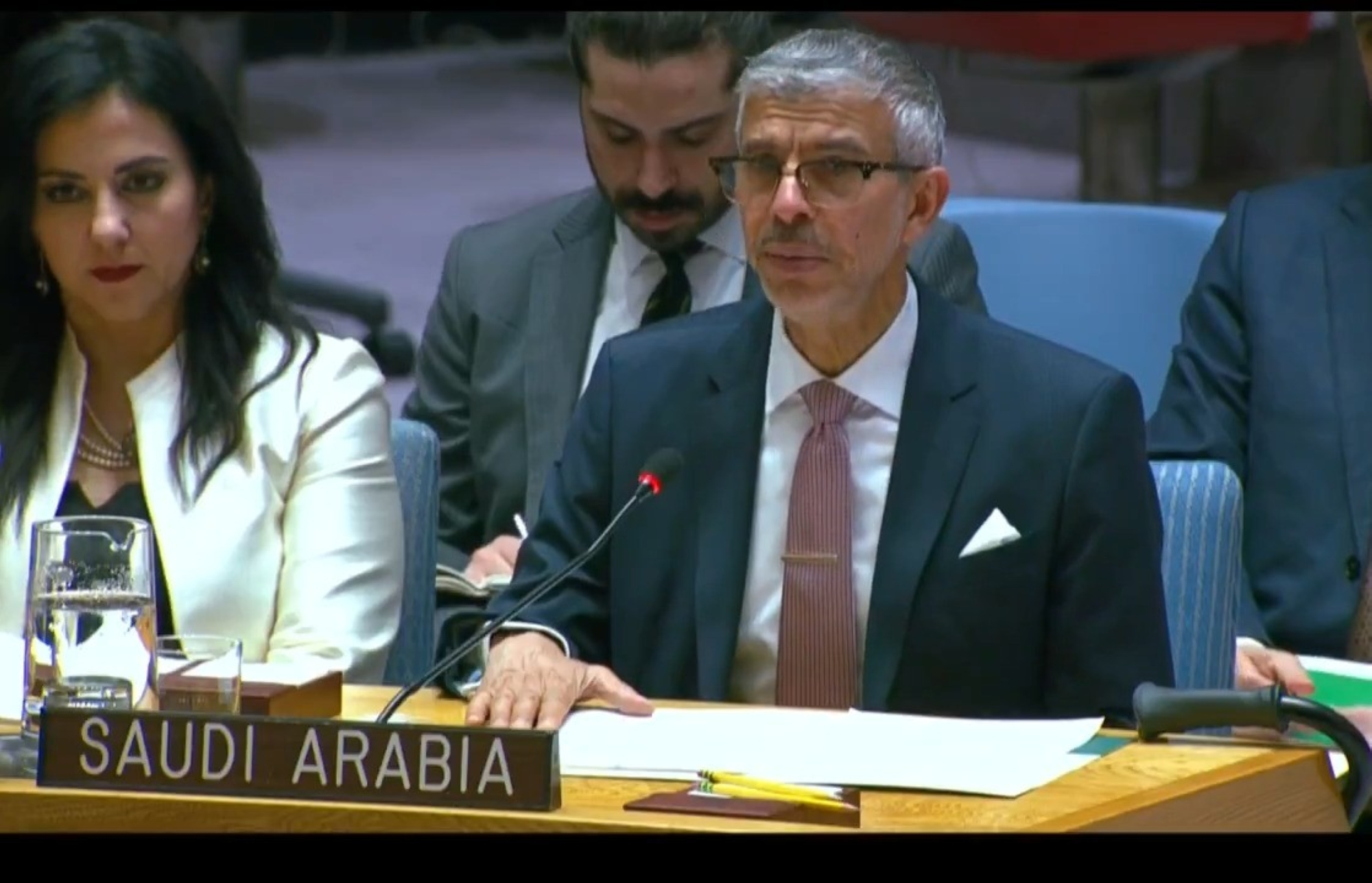 الواصل بمجلس الأمن: لا سيادة لإسرائيل على فلسطين